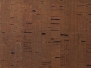 Architextures - Chicory