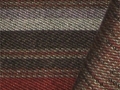 changestripesearth
