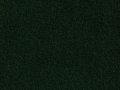 Posh-Forest_low