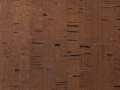 cork-chicory