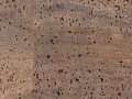 cork-seafoam