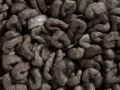 Knots-Grey