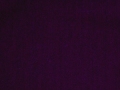 Lama_Fuchsia
