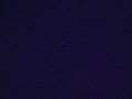 Lama_Grape