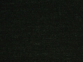 Milan_Moss