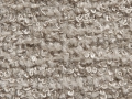 Shetland_Ivory
