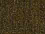 Loops