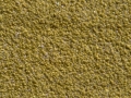 Shag-Citron