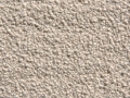 Shag-Ivory
