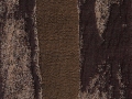 River-Rock-Earth